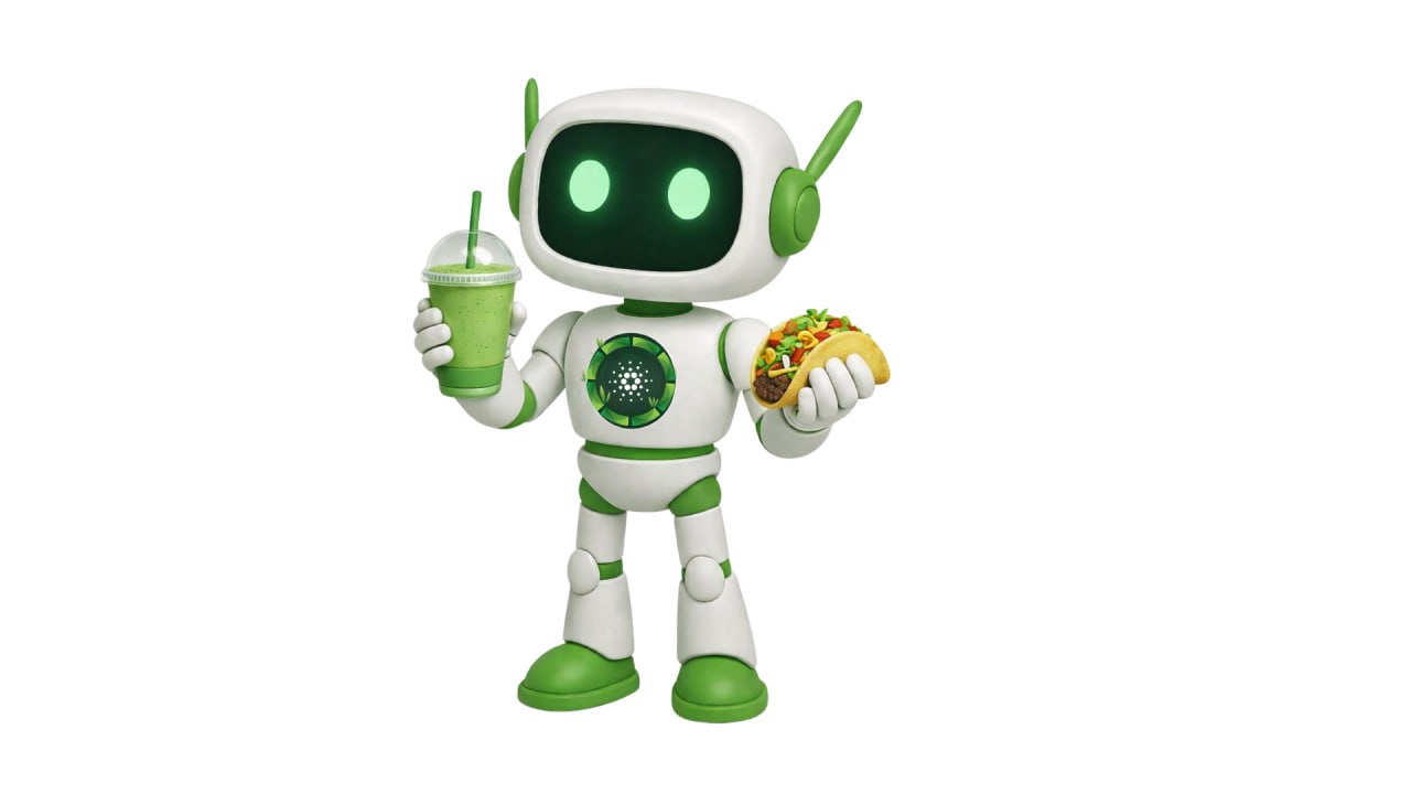 BBO Robot Assistant